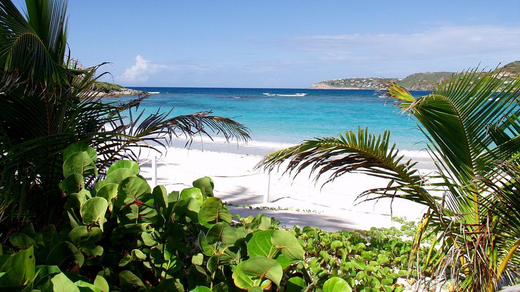 Tropical Hotel St Barth Gustavia Exterior photo